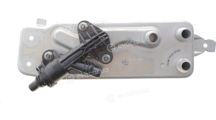 Adler 17217638678