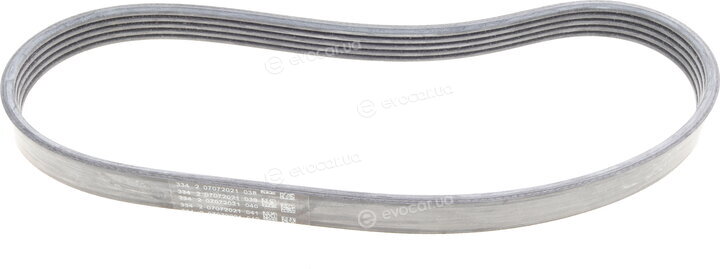 Continental 6PK1019 ELAST T1