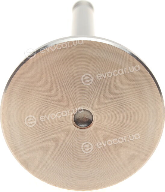 AMP PVWG066-A-0-N