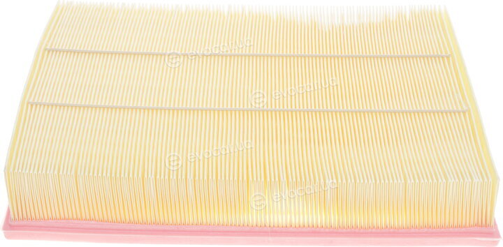 Solgy 103063