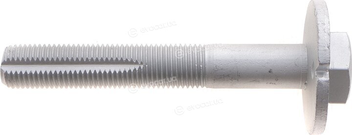 Solgy 204257