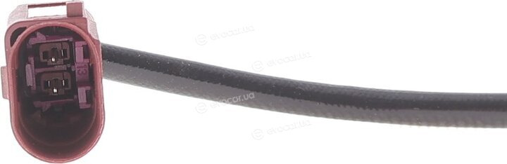 Delphi TS30356