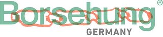 Borsehung B13262