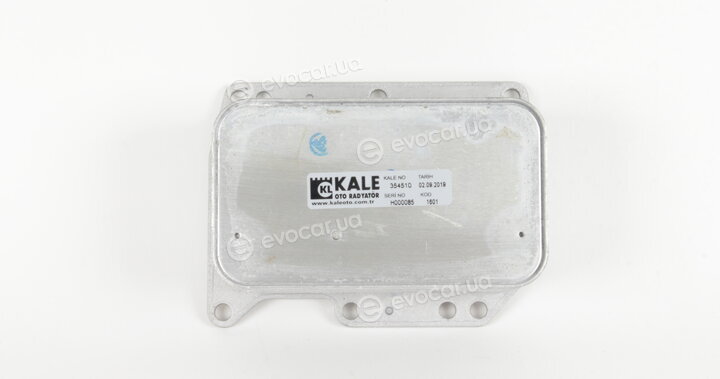 Kale 354510