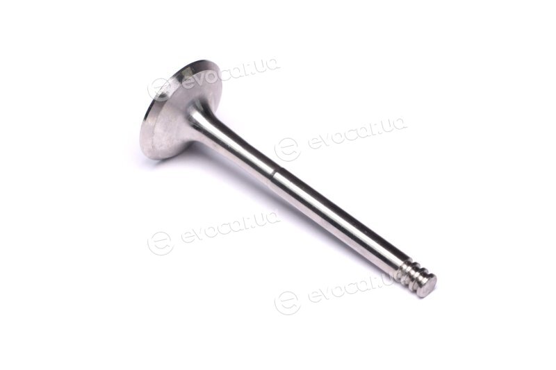 Mahle 029 VA 31103 100
