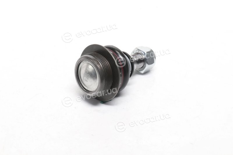 Magneti Marelli 301191619390