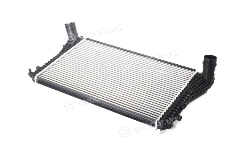 Van Wezel 58004306
