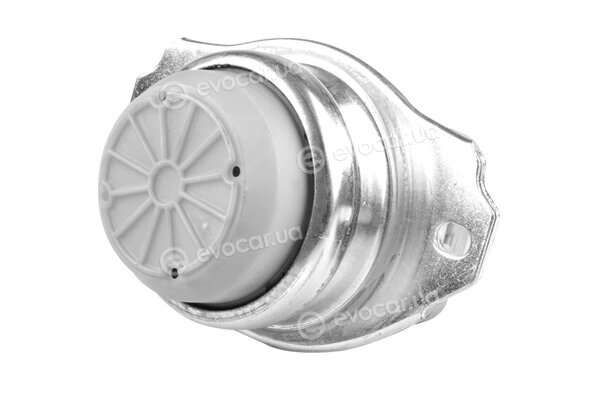 Tedgum TED39572