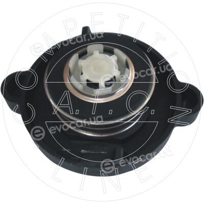 AIC 55596