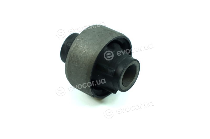 Sasic 2250006