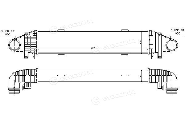 Starline A MSA 4596