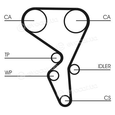 Continental CT1065K2