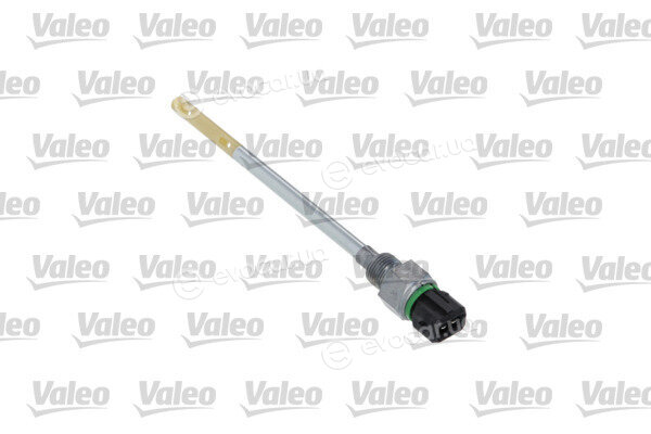 Valeo 366206