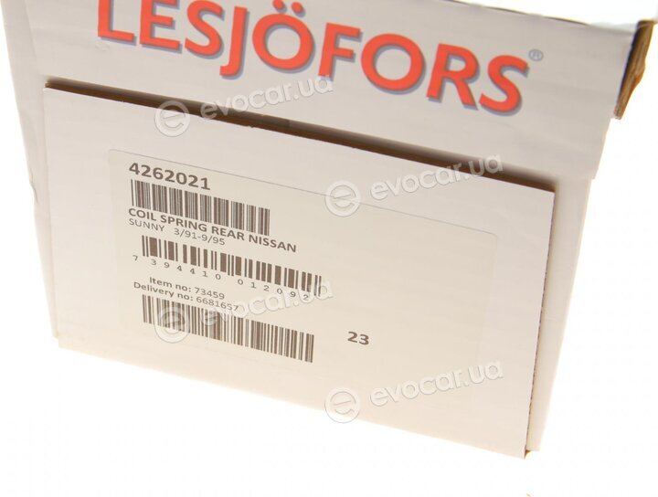 Lesjofors 4262021