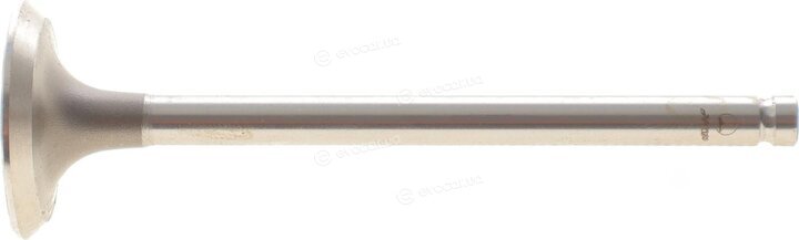 AMP POPE017-S-0-D