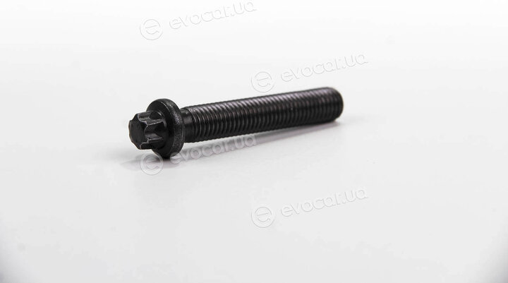 Elring 038.970