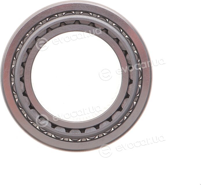 Solgy 216303