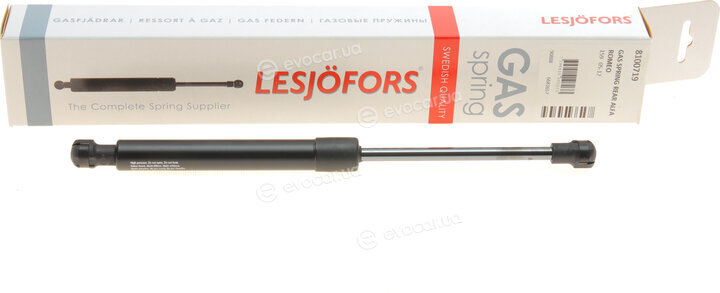 Lesjofors 8100719