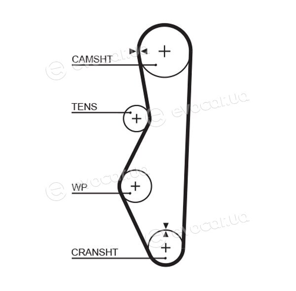 Gates K015521XS