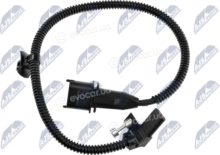 NTY ECP-PL-019
