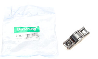 Borsehung B18831
