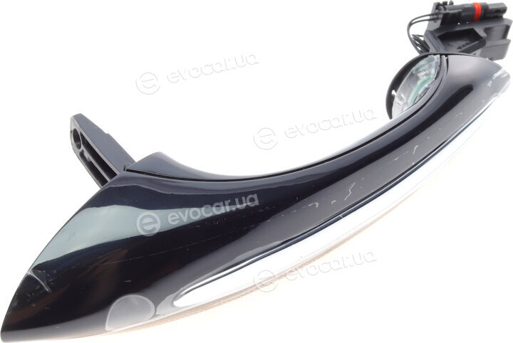 Solgy 305068