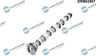 Dr. Motor DRM02867
