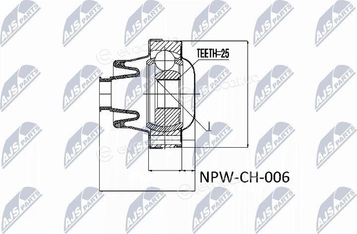 NTY NPW-CH-006