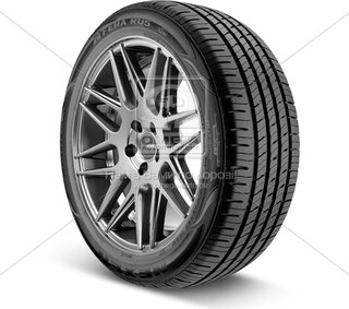 Nexen 12617