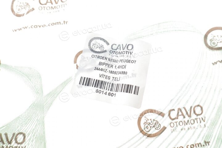 Cavo 6014 601