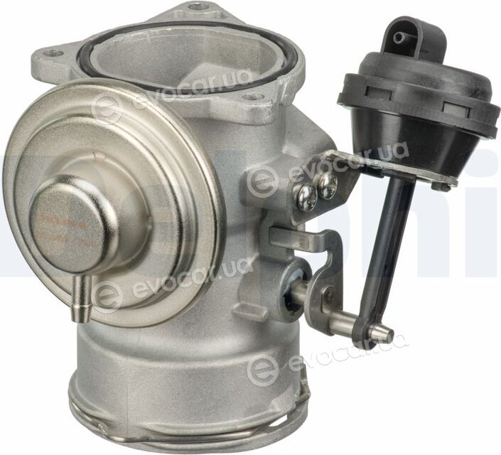 Delphi EG10409-12B1