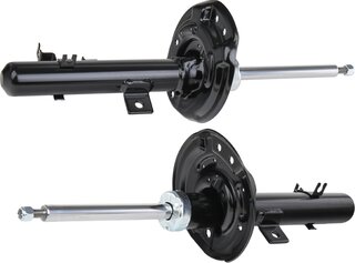 Ridex 854S2201