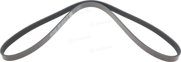 Dayco 5PK1245