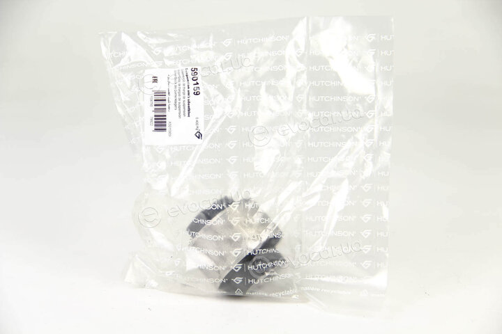 Hutchinson 590159