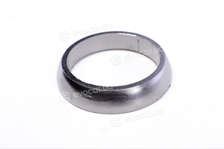 Elring 310.920