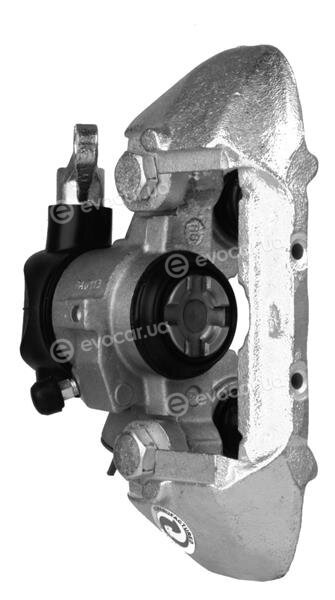 Starline PB BT46