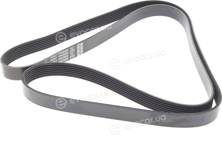 Dayco 7PK2005