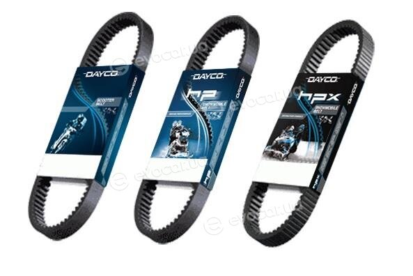 Dayco HPX2234