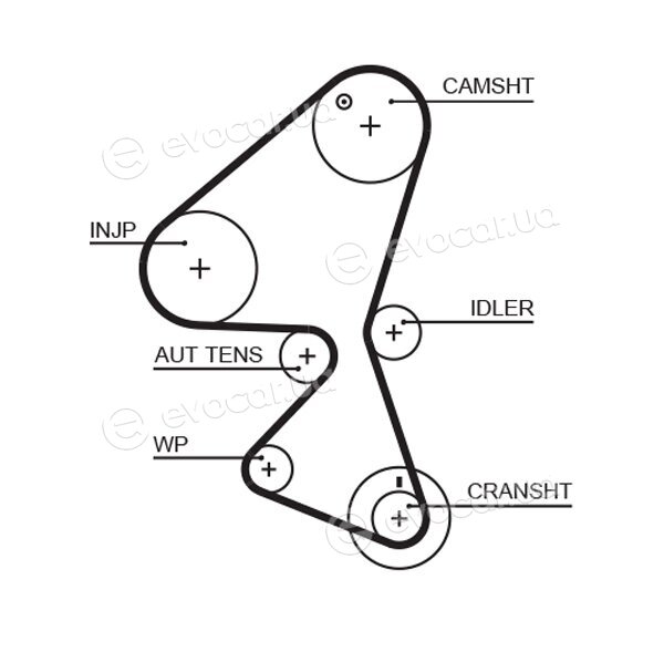 Gates K015598XS