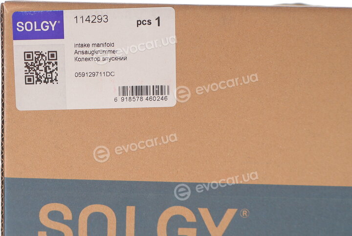 Solgy 114293