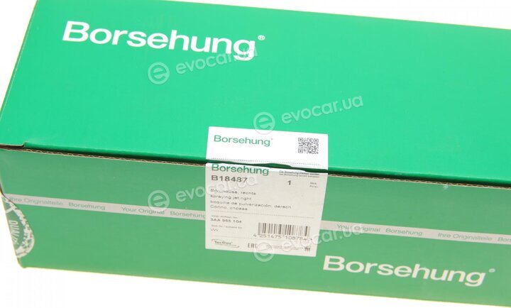 Borsehung B18487