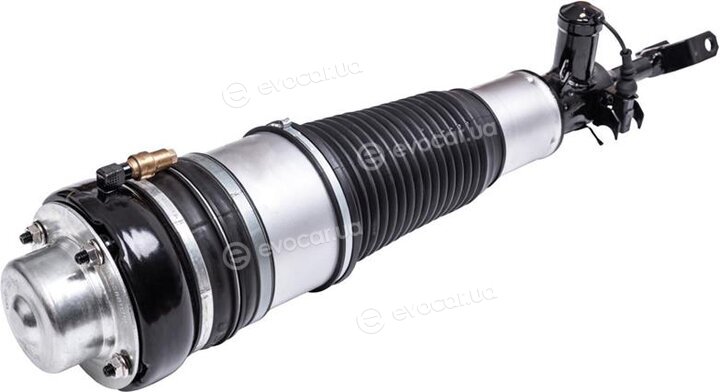 Starline TL V00003