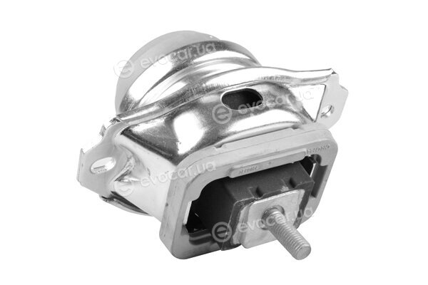 Tedgum TED39572