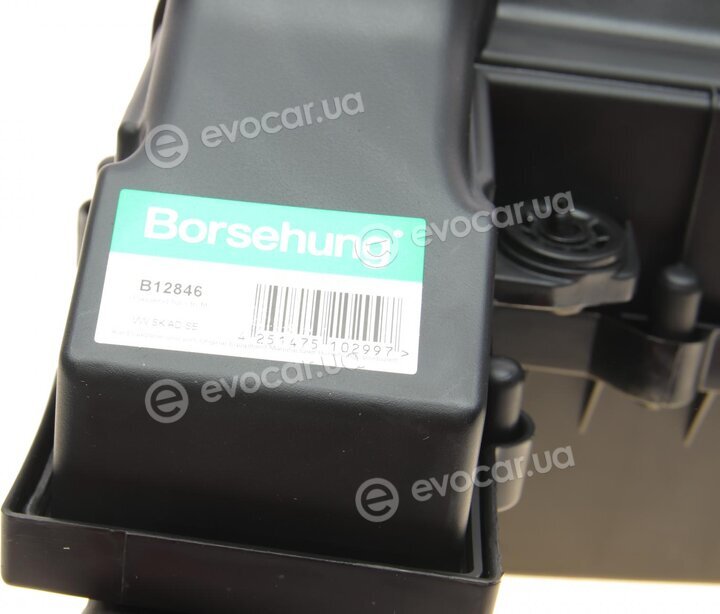 Borsehung B12846