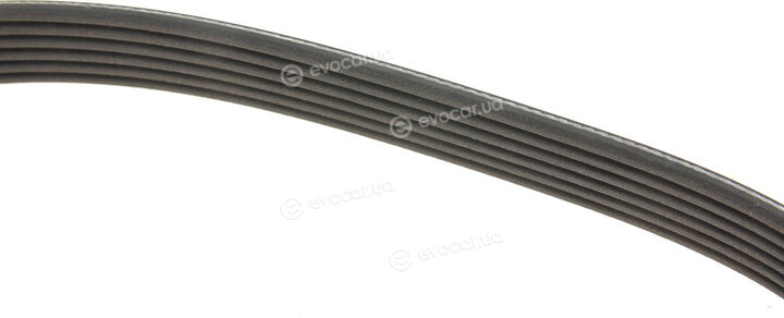 Dayco 6PK1205