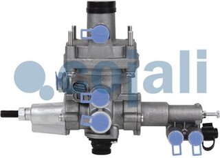 Cojali 2220439