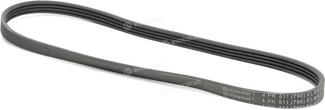 Continental 4PK811 ELAST