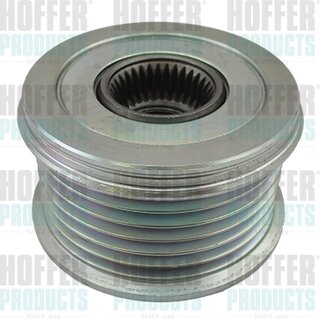 Hoffer 45266