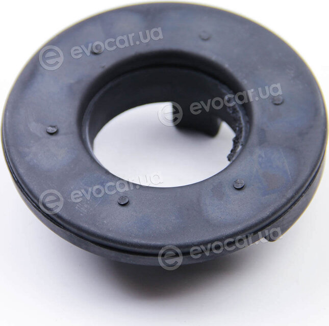 BC Guma 0253