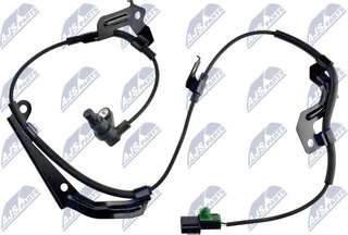 NTY HCA-MS-081